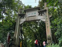 -梧桐山风景名胜区