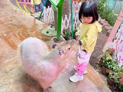 -正佳雨林生态植物园