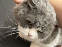 -FAELING PETS美天灵宠物(富力广场店)