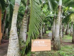 -海口火山口国家地质公园