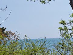-养马岛旅游度假区