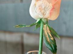 -反正(SM三期店)