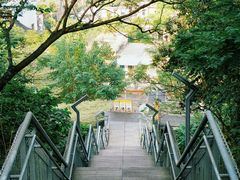 -佛山华盖山公园