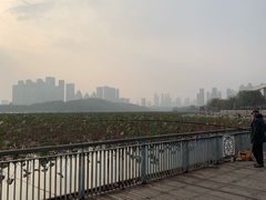 -月湖风景区