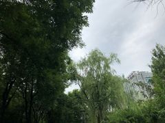 -唐城墙遗址公园