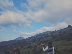 -大姆山草场