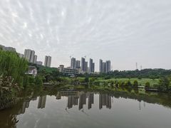 -张坝桂圆林公园