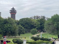 -塔子山公园