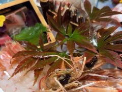 -泉寿司(万科公园店)