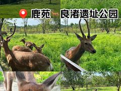 -良渚古城遗址公园