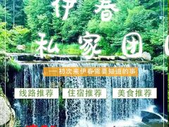 -汤旺河林海奇石景区