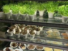 -半岛翡丽海鲜自助餐厅(观风亭店)