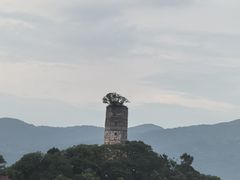 -江心屿景区