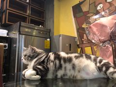 -咖法森林·咖啡  酒吧(天河店)