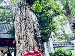 -狼山风景名胜区