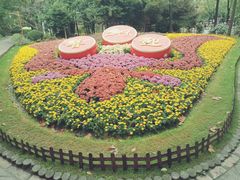 -上海共青森林公园