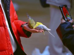 -呀路古热带植物园