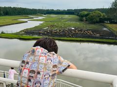 -溱湖国家湿地公园