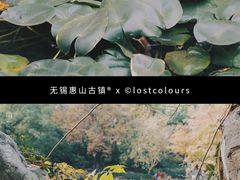 -惠山古镇·寄畅园