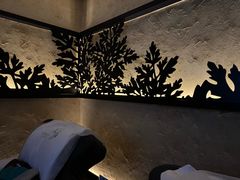 -新紫霞养生·影院足道·SPA(金山区店)