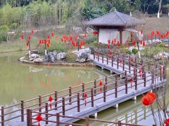 -广西壮族自治区药用植物园