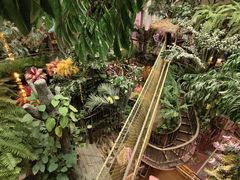 -正佳雨林生态植物园