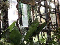 -北马山庄植趣咖啡