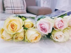 -痘敏医生专业祛痘·肌肤修复连锁