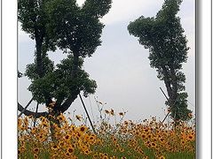 -苏州太湖国家湿地公园