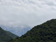 -黑河国家森林公园