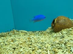 -北戴河圣蓝海洋公园