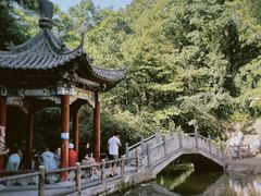 -王顺山国家森林公园