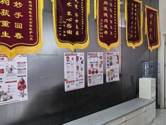 -中农国际动物医院24小时·猫科·骨科·急重症中心