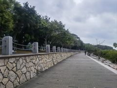-深圳湾公园(南山区)