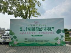 -莲花池公园