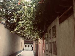 -大可堂普洱茶馆(襄阳南路馆)