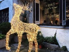 -蜜桃花开·中西融合菜E&W(南长街店)