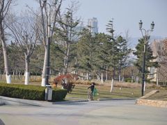 DSC_6518-悦海公园