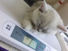 -美联众合动物医院·24h京西诊疗中心