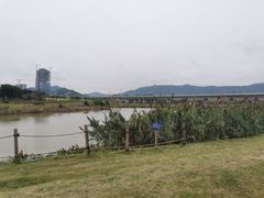 -光明小镇欢乐田园