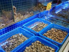 水产区-必点海鲜·鲅鱼水饺(鞍山西道店)