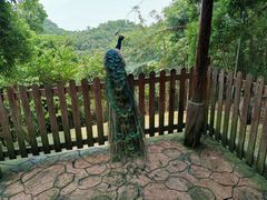 -庐山西海主景区
