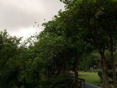 -太鲁阁公园
