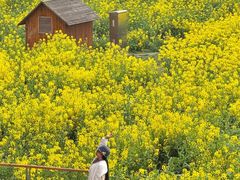 -中国天府农业博览园