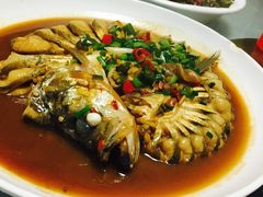 -全乐鱼馆·淳牌有机鱼直营店