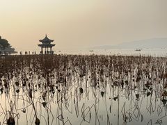 -西湖天地