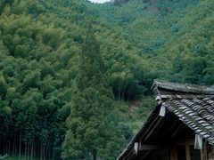 -林坑古村落