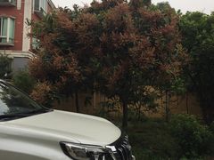 -三水森林公园