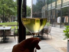-wineapp葡萄酒餐吧(外滩金融中心店)