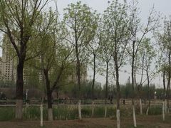 -前关湿地公园